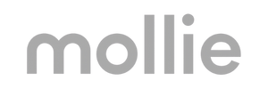 PayU 1
